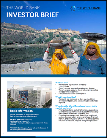 The World Bank Investor Brief